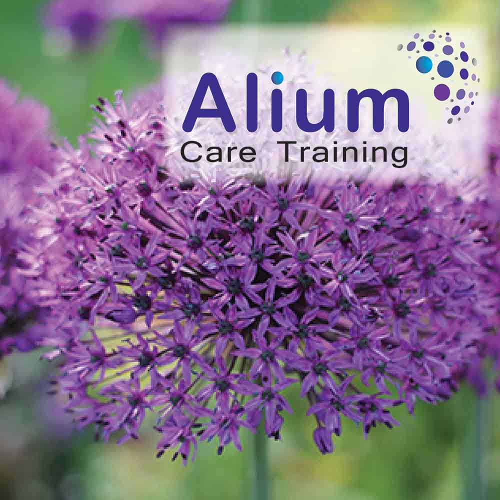 alium-care-training-01